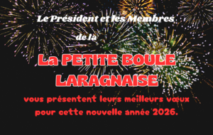 BONNE ANNEE 2026