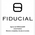 Fiducial